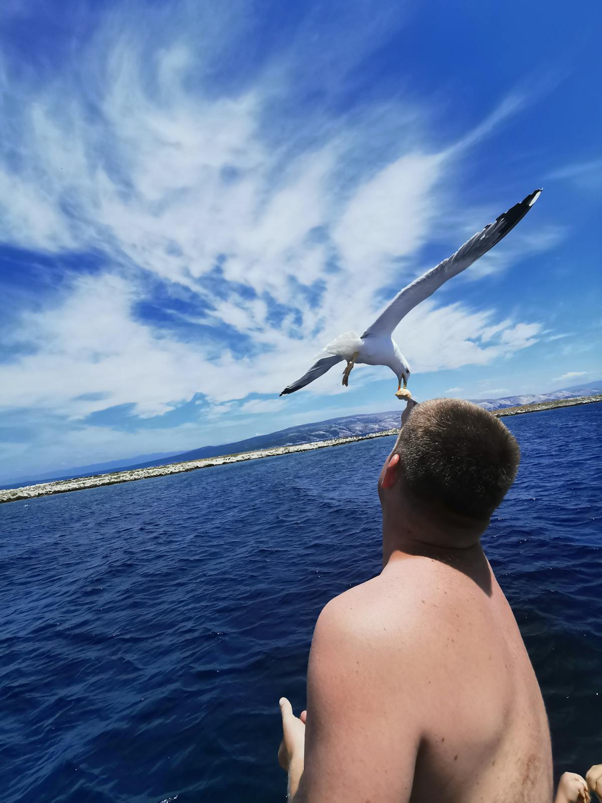 Feeding Seagulls on Island Galun